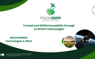 SPACE4GREEN Booklet: A Comprehensive Overview of Our Achievements and Innovations